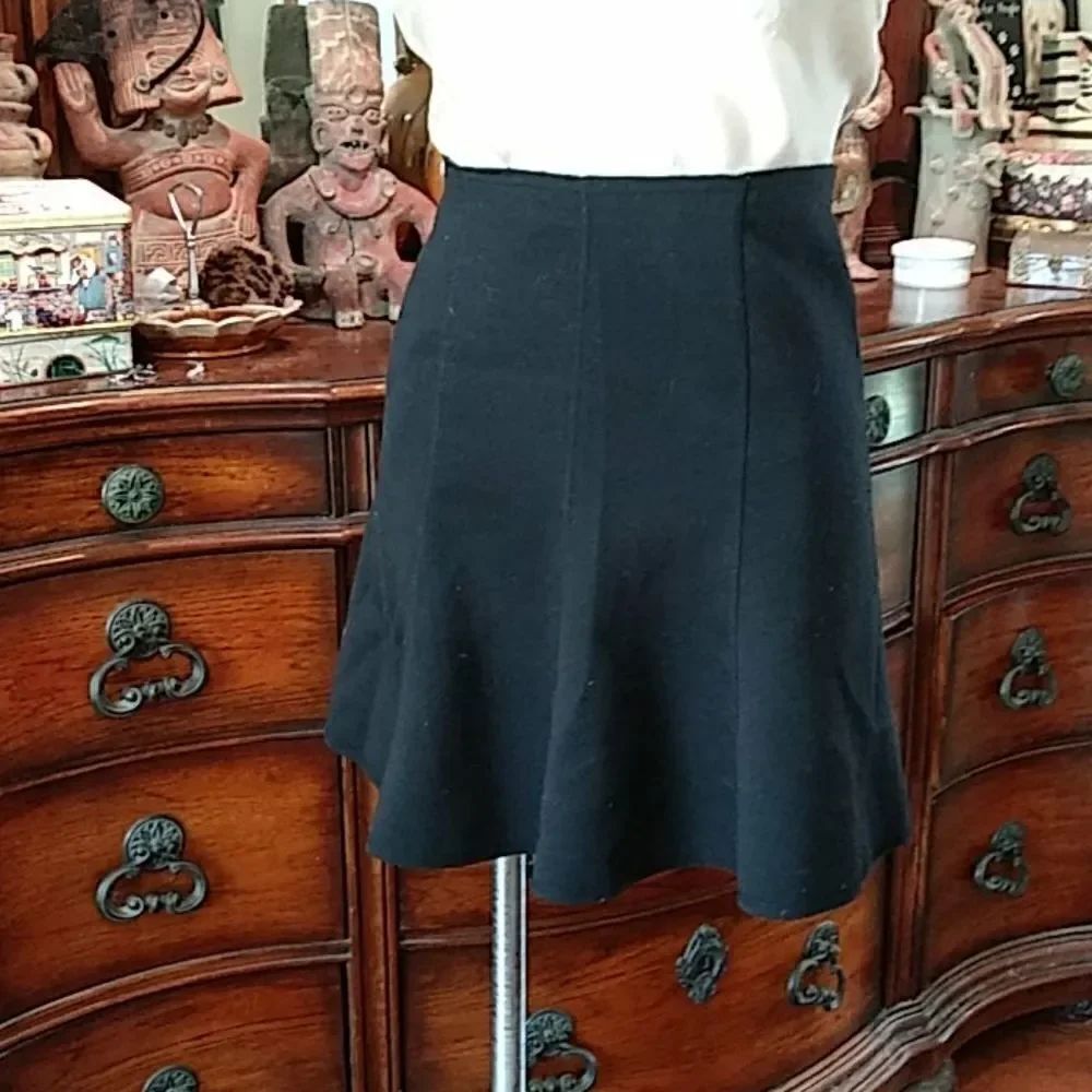 Ann Taylor skirt   